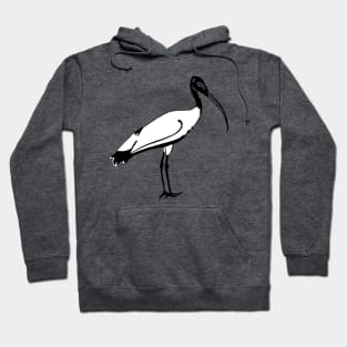 Ibis Hoodie